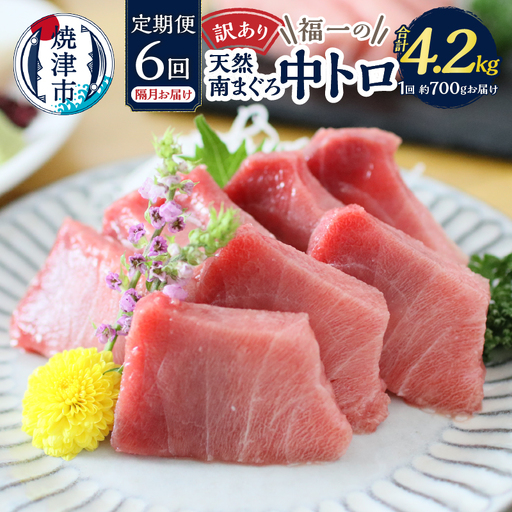 訳あり【定期便 6回隔月でお届け】南鮪・刺身・中トロ(約700g) 訳あり OR FN-SupportProject OR 増量 OR 年末企画 訳あり (a90-014)