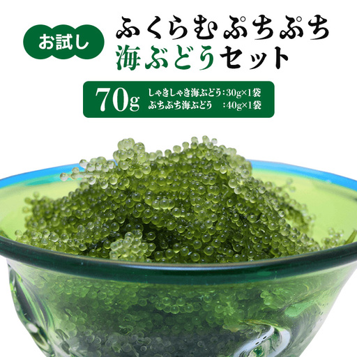 【お試し】ふくらむぷちぷち 海ぶどう セット 塩水タイプ 70g 沖縄 海ブドウ しゃきしゃき ぷちぷち 2種類 食べ比べ セット お試しセット 沖縄県グルメ 特産品 メール便 ネコポス 沖縄県 糸満市