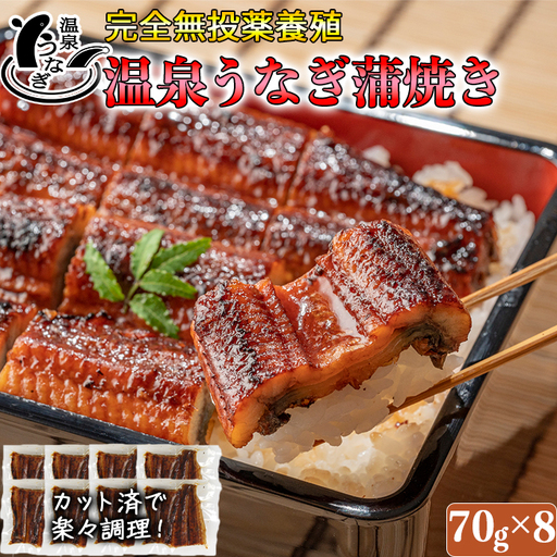 国産 温泉うなぎ 蒲焼 カット 70g×8【大分水産】 うなぎ 完全無投薬 九州 大分県 うな丼 うな重 冷凍 鰻 ギフト 受賞 食べきり 個包装 小分け スタミナ 夏バテ ＜104-004＞