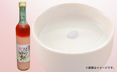 はな由紀 お酒 アルコール 晩酌 家飲み 宅飲み 絶品 どぶろく 赤色酵母使用 低アルコール 酸味 さわやか 食前酒 
