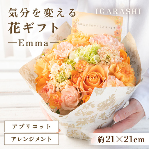 気分を変える花ギフト Emma(アレンジメント・アプリコット) [aw062-a006_05]