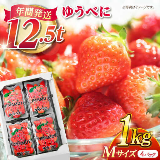 先行予約 熊本いちごMサイズゆうべに1kg(4p)イチゴ苺国産ゆうべにいちご