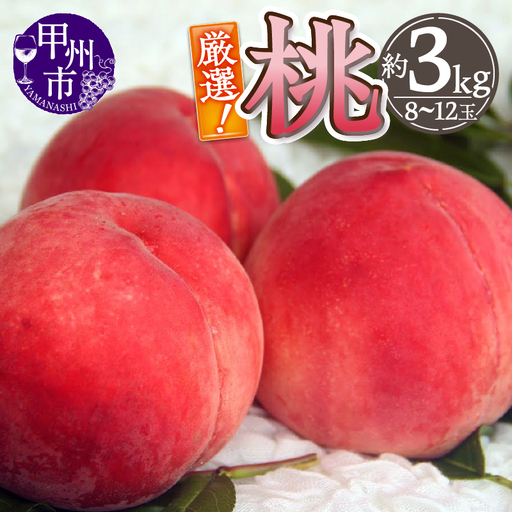 厳選！山梨県甲州市産 桃 約3kg【2026年発送】（THR）B14-800 桃 フルーツ