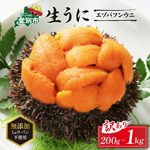 訳あり ≪規格外品200g≫ 無添加エゾバフンウニ 塩水パック 200g [mh-0479_B]