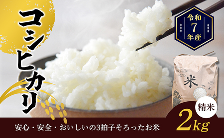 令和7年産香川県産コシヒカリ2kg(精米) お米