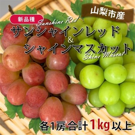 【2026年発送】山梨市産サンシャインレッドとシャインマスカットの特別セット(合計1kg以上)【配送不可地域：離島】【1464815】