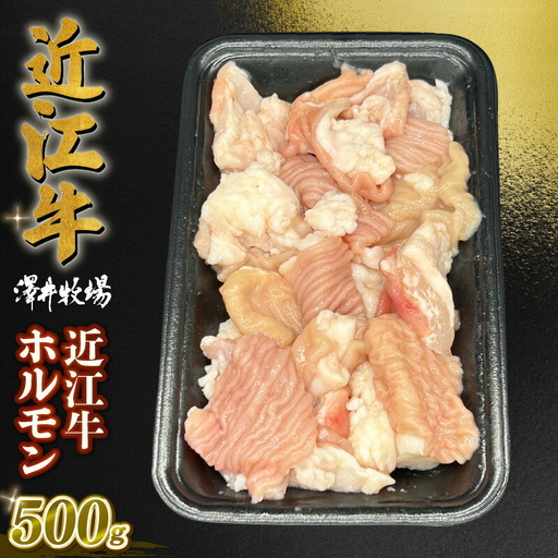近江牛 ホルモン 500g (250g×2) 黒毛和牛 小分け 牛肉 肉 ギフト 焼肉 焼き肉 自宅用 高級 黒毛和牛 国産 ふるさと納税 ブランド牛 三大和牛 和牛 冷凍 贈り物 内祝い 神戸牛 松阪牛 に並ぶ 日本三大和牛 滋賀県 竜王町 澤井牧場