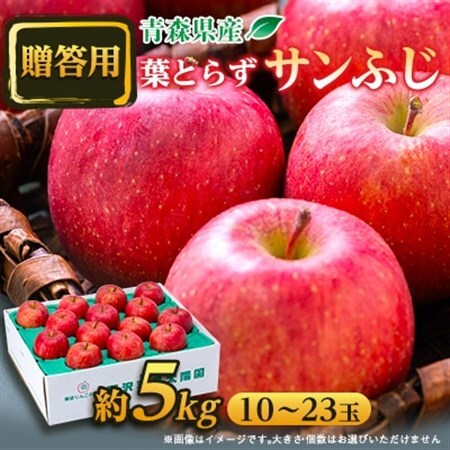 [贈答用にもどうぞ] 青森市産りんご「葉取らずサンふじ」約5kg_果物・フルーツ りんご リンゴ 林檎_[配送不可地域:離島・沖縄県]
