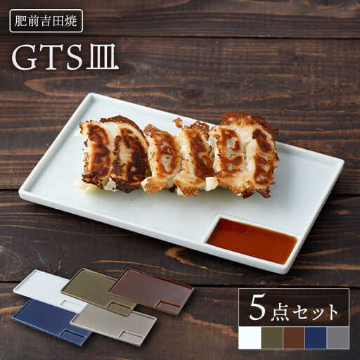 GTS皿 5点セット NAZ114 やきもの 食器