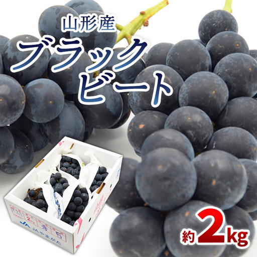 山形のぶどう ブラックビート 秀品 約2kg(3〜6房)[令和8年産先行予約]FS24-653 くだもの 果物 フルーツ 山形 山形県 山形市 2026年産