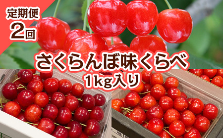 【定期便2回】さくらんぼ 味くらべ 1kg入り 【令和9年産先行予約】FS25-572