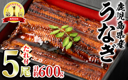 【0244311a】並サイズの満足感！東串良町のうなぎ蒲焼(無頭)(5尾・計約600g・タレ、山椒付)うなぎ 高級 ウナギ 鰻 国産 蒲焼 蒲焼き たれ 鹿児島 ふるさと 人気【アクアおおすみ】