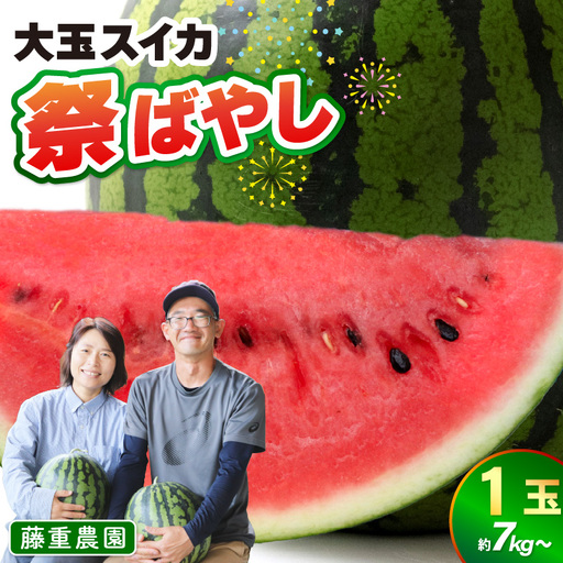 【先行予約】藤重農園の大玉スイカ『祭ばやし』 1玉（7kg～） ≪満足度高い大きなスイカ≫／ 果物 フルーツ 西瓜 すいか ギフト 農家直送 美肌 ビタミン豊富 福井県 あわら市 なんとリコピンはトマトの1.5倍！ ※2027年6月中旬以降順次発送 [aw083-a003]