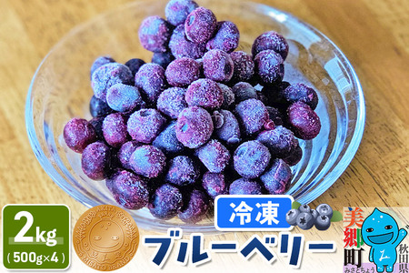 くろかわ農園 冷凍ブルーベリー 2kg（500g×4パック） 秋田県美郷町