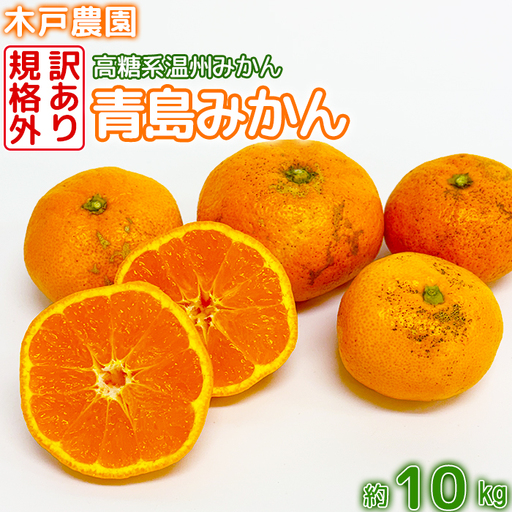 高糖系 温州みかん 青島 (訳あり・規格外) 約10kg【木戸農園】 1月 2月 果物 フルーツ 数量限定 期間限定 九州 大分県 ＜113-014＞
