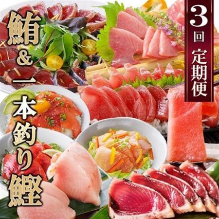 定期便(3ケ月)枕崎ふるさと納税　まぐろ＆一本釣りかつお LL-6001_刺身 魚介 鮪 鰹 本マグロ 中トロ たたき カツオ_【配送不可地域：離島】【1457813】