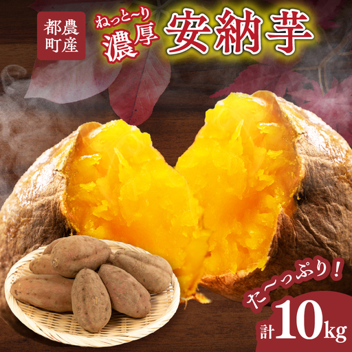 ≪先行予約≫都農町産安納芋(計10kg) 野菜 芋 イモ 国産_T016-0027