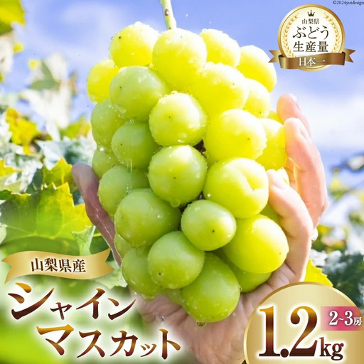 【2026年発送】 シャインマスカット ぶどう フルーツ 果物 種無し 1.2kg (2～3房)