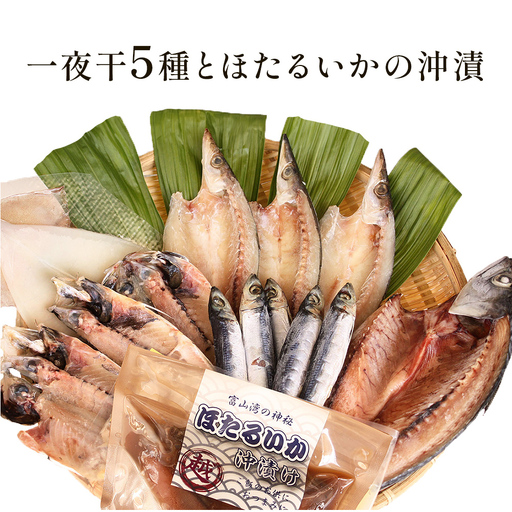 氷見 堀与 一夜干5種とほたるいかの沖漬 富山県 氷見市 干物 詰め合わせ 食べ比べ セット ホタルイカ