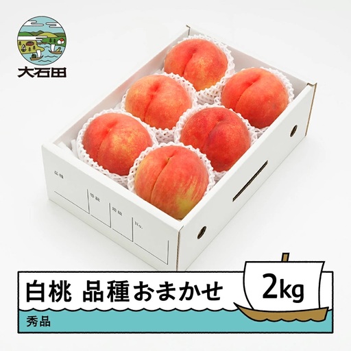 令和8年産 もも 白桃 秀品 品種おまかせ 約2kg ns-mohtx2