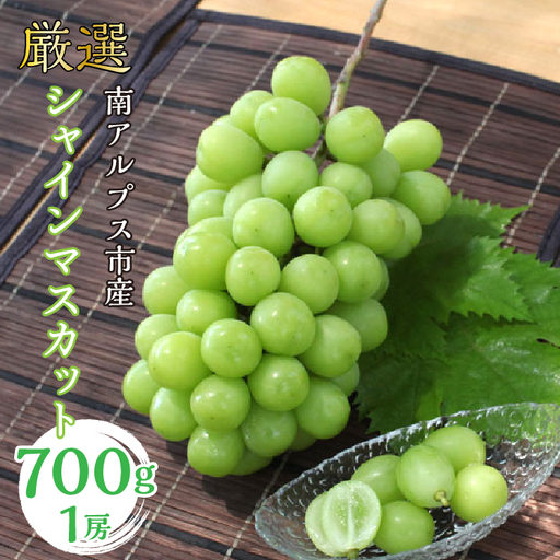 ＜2026年発送＞ 厳選!  シャインマスカット 700ｇ 1房 南アルプス市産 | シャインマスカット