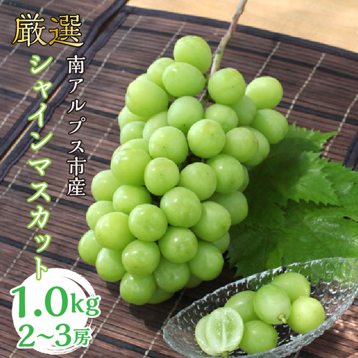 ＜2026年発送＞厳選! シャインマスカット 1.0kｇ 2～3房 南アルプス市産 | シャインマスカット