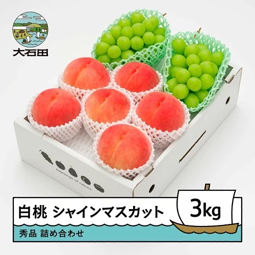 令和8年産 もも 白桃秀品＆シャインマスカット 品種おまかせ 約3kg ns-fshsx3