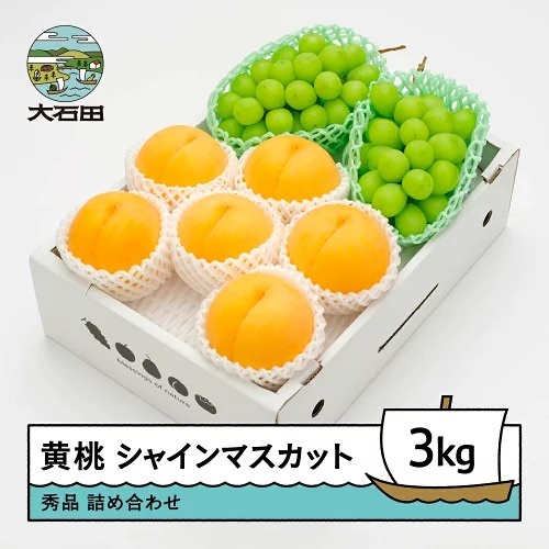 令和8年産 もも 有袋黄桃 秀品＆シャインマスカット 約3kg 詰め合わせ ns-fsosx3