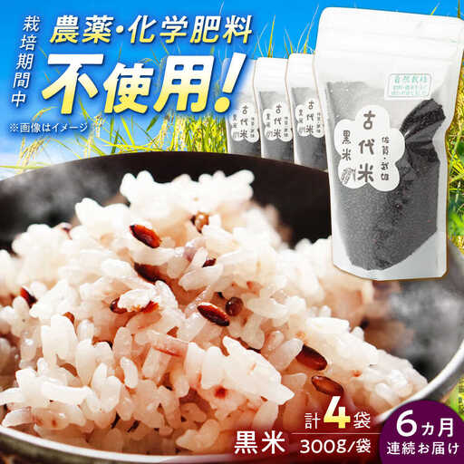 【6回定期便】古代米 黒米 4袋 /永尾 忠則 [UAS018] 雑穀 雑穀米