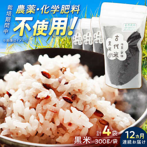 【12回定期便】 雑穀米黒米 4袋 雑穀 [UAS019]