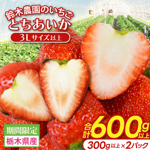 とちあいか いちご ★贈答用★ 600g 300g×2P DJ002