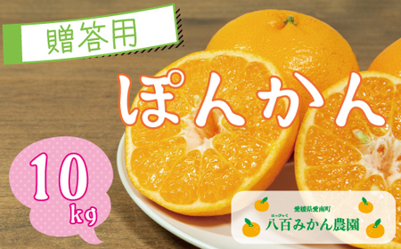 【 贈答用 】 ぽんかん 10kg 先行予約 （発送期間：1月中旬?無くなり次第終了） 八百みかん農園 の ぽんかん 15000円 家庭用 10kg 先行 事前 予約 受付 みかん 不知火 はるみ 防腐剤不使用 愛媛 産地直送 国産 農家直送 糖度 甘味 果樹園 期間限定 数量限定 特産品 プレゼント 人気 限定 愛南 正品 果実 ギフト 風味 甘い フルーツ 果物 柑橘 蜜柑