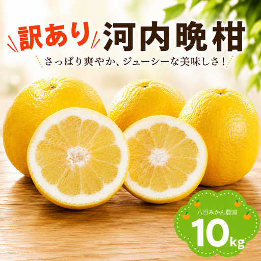 【先行予約】訳あり 河内晩柑 10kg  (発送期間：2027年4月上旬～無くなり次第終了) 八百みかん農園 愛媛県 愛南町