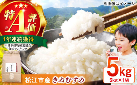 [寄附額改定]白米 数量限定50個 きぬむすめ 5kg [ALDS020]白米