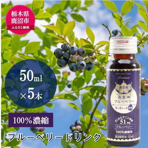 無添加 砂糖不使用 のぎゅぎゅっと 100％ 濃縮 ブルーベリードリンク 1箱 （50ml×5本） 果汁飲料 野菜飲料 ブルーベリージュース 美味しい 濃縮し 高糖度 添加物 安全 安心 アントシアニン 手軽 飲み物 