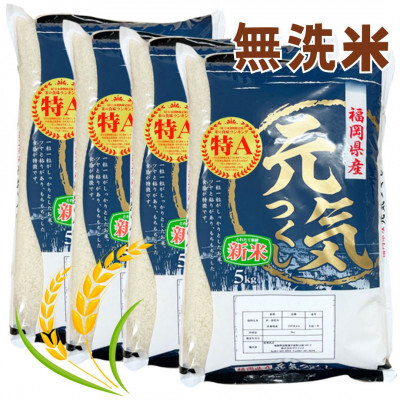 ＜令和7年産＞福岡県産ブランド米「元気つくし」無洗米20kg(5kg×4袋) ＜筑前町＞【米 ブランド米 ブランド 白米 元気つくし 20kg 20キロ 無洗米 福岡県産 グルメ 福岡県 筑前町 CE004】【価格改定】