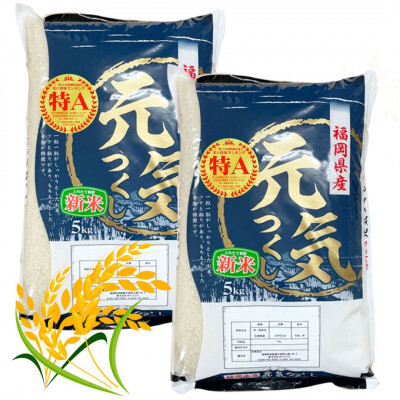 ＜令和7年産＞福岡県産ブランド米「元気つくし」白米 10kg(5kg×2袋) 【米 ブランド米 ブランド 白米 元気つくし 福岡県産 グルメ 福岡県 筑前町 CE012】【価格改定】