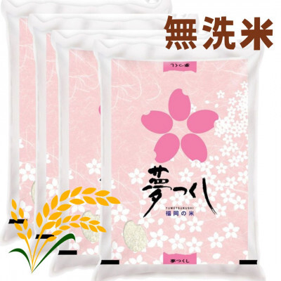 ＜令和7年産＞福岡県産ブランド米「夢つくし」無洗米　計20kg(5kg×4袋)【米 ブランド米 ブランド 白米 無洗米 夢つくし 福岡県産 グルメ 福岡県 筑前町 CE018】【価格改定】