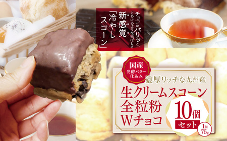 国産発酵バター香る濃厚リッチな九州産生クリームスコーン 全粒粉Wチョコ10個セット | お菓子 菓子 おかし 洋菓子 焼き菓子 イギリス菓子 スコーン チョコ 生クリーム 生クリームスコーン 全粒粉 全粒粉チョコ 手作り おやつ デザート スイーツ ティータイム カフェスイーツ 大分県 中津市