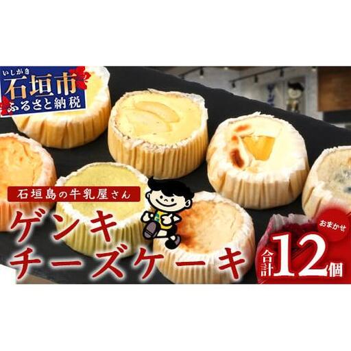 ゲンキチーズケーキ 12個 プレーン MIX バラエティ セット OP-8