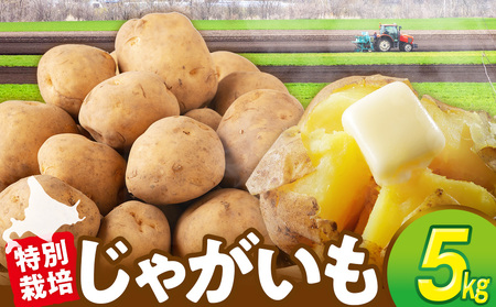 R8年産先行受付 じゃがいも 5kg 特別栽培(男爵) | ジャガイモ 芋 男爵 馬鈴薯 大容量 新鮮 野菜 煮物 カレー シチュー ポテト 保存 特産 産地直送 北海道 津別町 送料無料