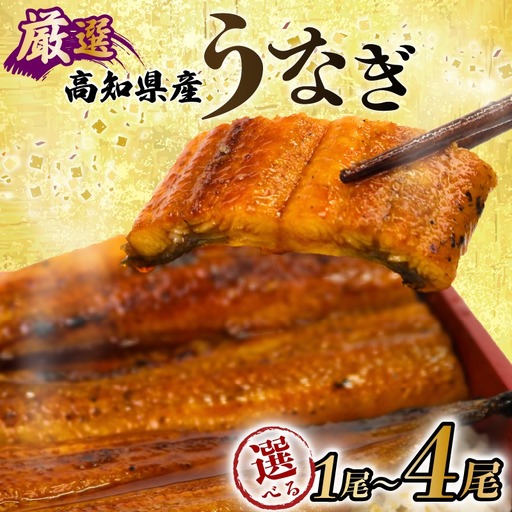 ヤマジュウ厳選うなぎ３尾 ＿ 国産 ウナギ 鰻 土用の丑の日 蒲焼き
