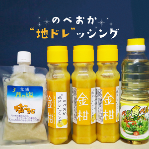 のべおか”地ドレ”ッシング金柑と塩こうじセット N060-YA3395
