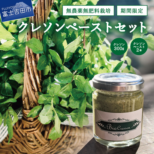 富士吉田市のクレソンペーストセット 野菜