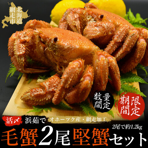 【期間限定・数量限定】美味活〆浜茹 で毛蟹2尾「堅蟹」セット(オホーツク海産・網走加工)  ABAO2160 | けがに ケガニ かに カニ