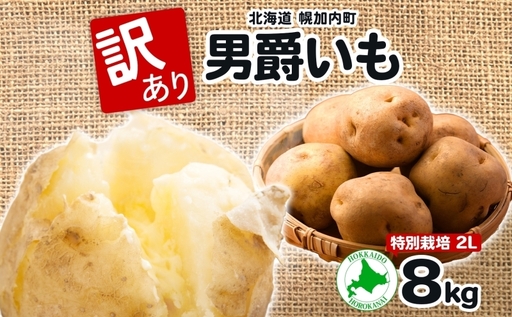 [2026年秋以降出荷] 北海道 訳あり 特別栽培 じゃがいも 男爵 2L 約8kg ジャガイモ 馬鈴薯 芋 野菜 根菜 旬 冬野菜 北海道産 国産 生 ポテト 甘い ホクホク 農作物 訳アリ 規格外 8キロ お取り寄せ 産地直送 食材