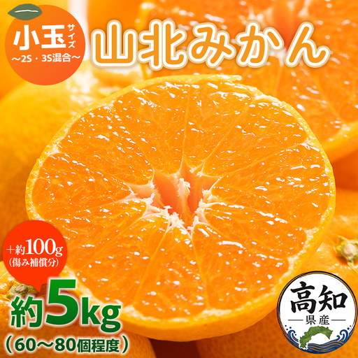 山北みかん 小玉5kg（60～80個程度）小玉３S〜２Sサイズ yk-0078