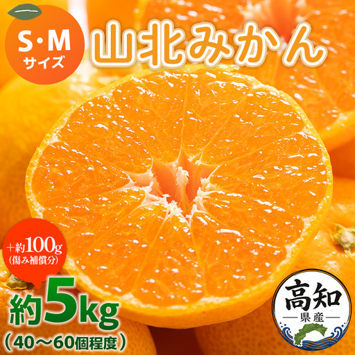 【特産フルーツ】山北みかん(秀品) 約5kg フルーツ yk-0062