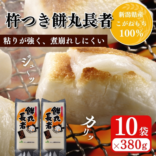 餅丸長者 切り餅 コガネモチ 380g×10袋 切り餅