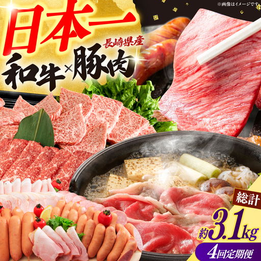 [4回定期便]長崎和牛・大村産豚肉コース 総量3.1kg / 牛肉 モモ もも すき焼き すきやき しゃぶしゃぶ 焼肉 焼き肉 豚肉 豚ロース ロース ろーす 豚モモ 豚バラ バラ ばら ロースハム ハム はむ ウインナー ういんなー フランク 小分け 肉定期便 / 大村市 / おおむら夢ファームシュシュ[ACAA070]